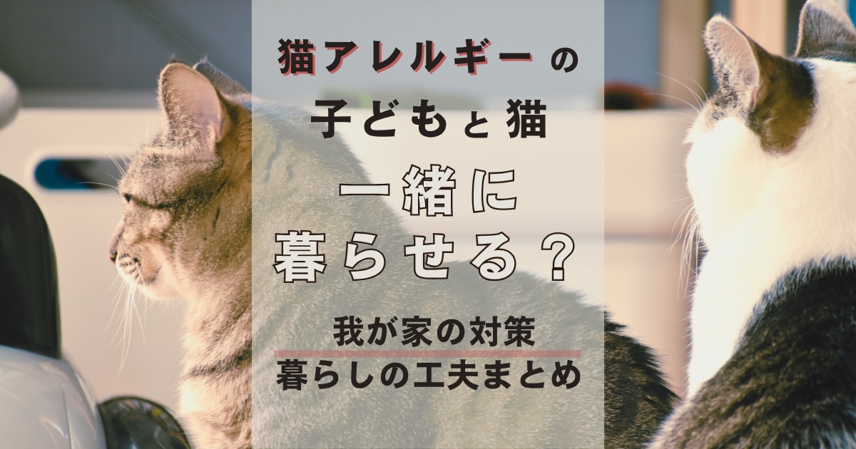 アイキャッチ画像
