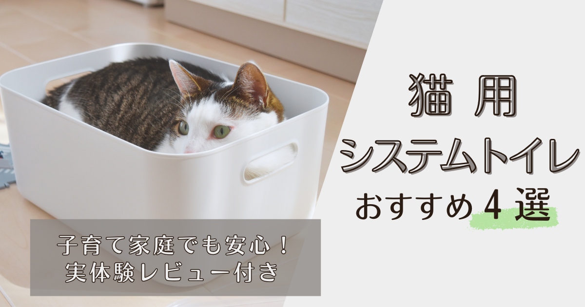 アイキャッチ画像
