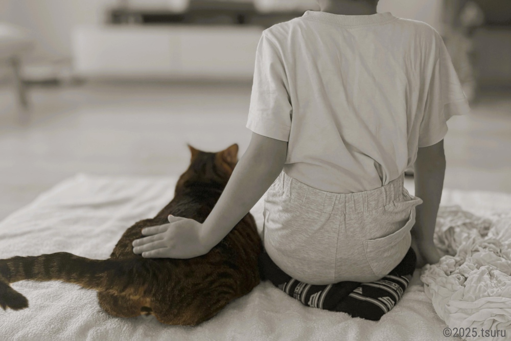 猫と子ども
