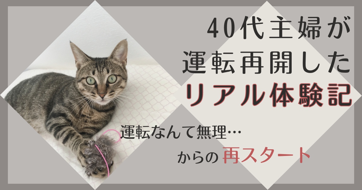 アイキャッチ画像