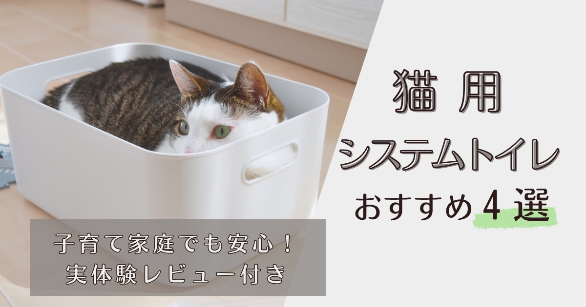 アイキャッチ画像