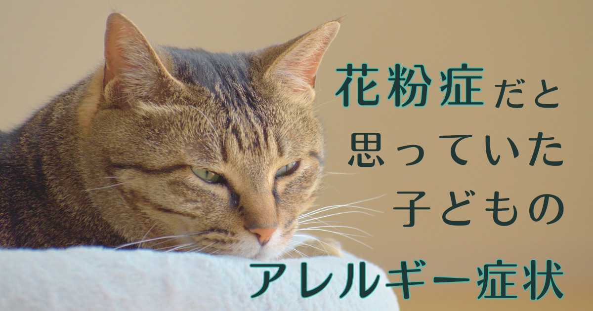 花粉症だと思っていた子どものアレルギー症状