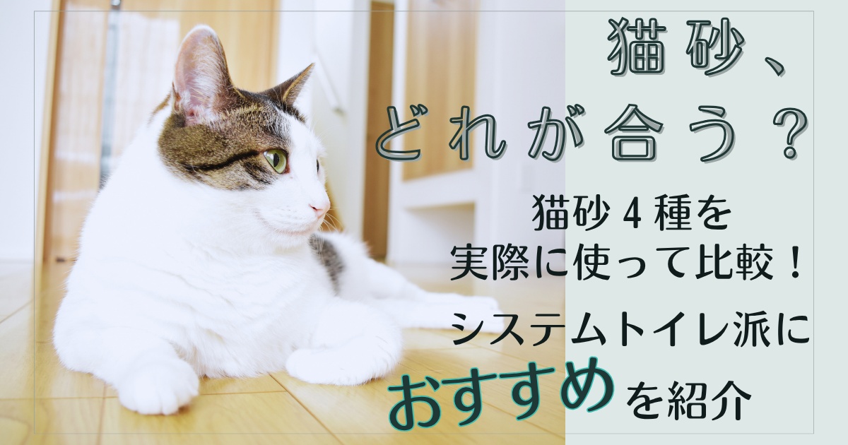 アイキャッチ画像