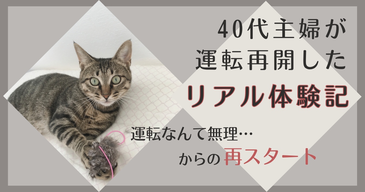 アイキャッチ画像