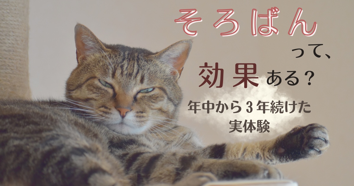 アイキャッチ画像