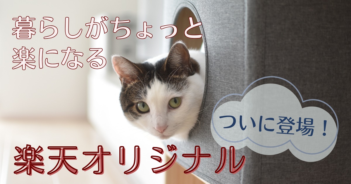 アイキャッチ画像 「暮らしがちょっと楽になる、楽天オリジナルついに登場」